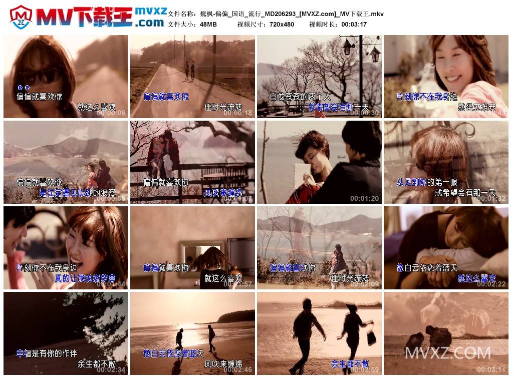 魏枫-偏偏_国语_流行_MD206293